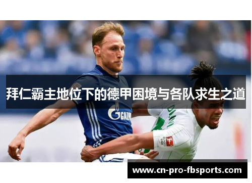 拜仁霸主地位下的德甲困境与各队求生之道