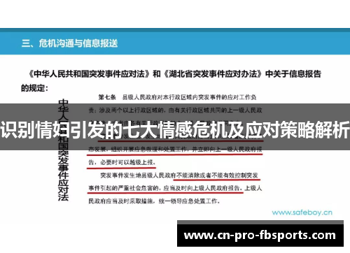 识别情妇引发的七大情感危机及应对策略解析