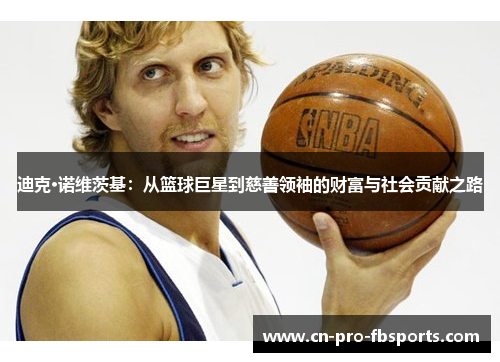 迪克·诺维茨基：从篮球巨星到慈善领袖的财富与社会贡献之路